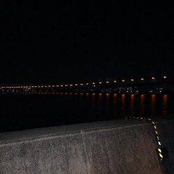 西宮浜でぶっ込み釣り【まだまだアナゴも居る様です】