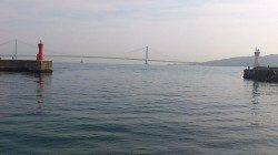 明石港で探り釣り、ガシラとアイナメをキャッチ