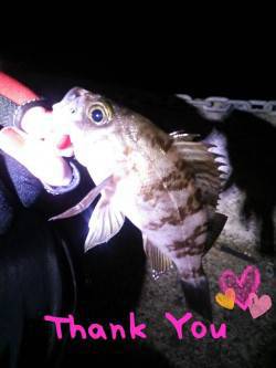 20cmメバルに出会えました♪