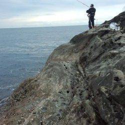 久しぶりの磯釣りでグレ確保！