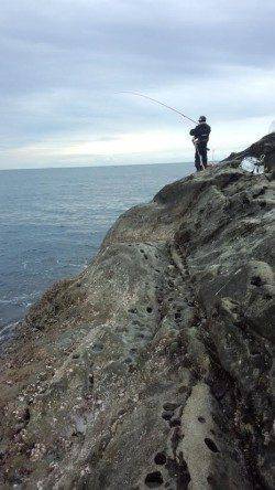 久しぶりの磯釣りでグレ確保！