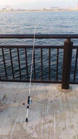 神戸空港ベランダにてシラサで探り釣り楽しめました♪