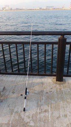 新浜漁港の探り釣りでアイナメ・ガシラ