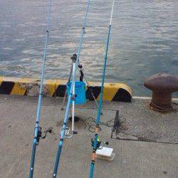 須磨の投げ釣りで32cmのカレイがあがりました♪