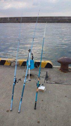 須磨の投げ釣りで32cmのカレイがあがりました♪