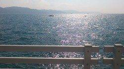 新浜漁港、探り釣りでガシラ