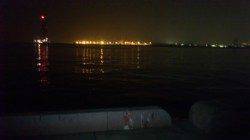 麻耶埠頭の投げ釣りで丸々太った穴子♪