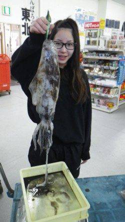 ヤエンでアオリイカ500〜1000g3バイの釣果