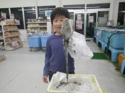 お子様釣果　すさみ港でヤエン釣り