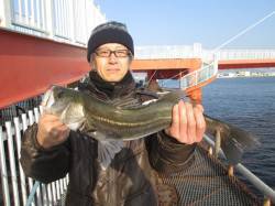 朝一の開始時にドカッとエビを撒き魚にアピー…