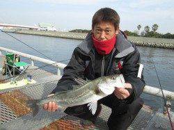 朝一の開始時にドカッとエビを撒き魚にアピールするのが大事です！