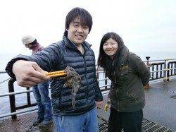 南港海釣り公園　ガシラ中心にハネの姿も