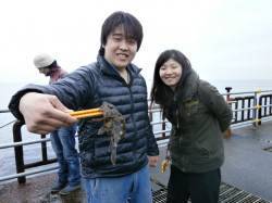 南港海釣り公園　ガシラ中心にハネの姿も