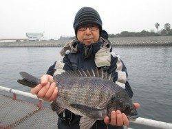 本日も暖かい一日です。ウキ釣りでハネにチヌ