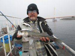 本日も暖かい一日です。ウキ釣りでハネにチヌ