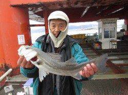 尼崎魚つり公園、ハネサイズを短時間で２匹