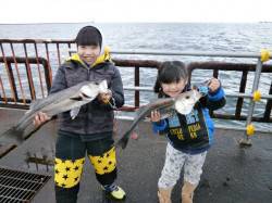 50cm級のハネ2本！ 大阪南港魚つり園