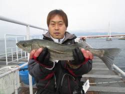 尼崎市立魚つり公園、ズボ釣りでチヌ・ハネ