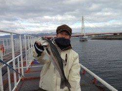 尼崎市魚つり公園 今日もハネ&チヌ