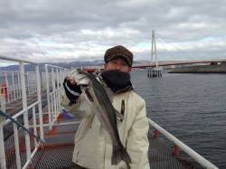 尼崎市魚つり公園　今日もハネ＆チヌ