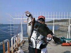 大阪南港魚つり園、年なしチヌ50cmにハネ、ガシラ