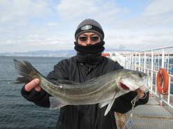 尼崎市立魚つり公園、早朝にウキ釣りでハネ