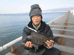 尼崎市立魚つり公園、午前の釣果 エビ撒きでハネ