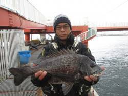良型のチヌの釣果あります！ in 尼崎市立…