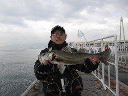 良型のチヌの釣果あります！ in 尼崎市立魚つり公園