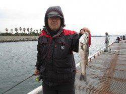 尼崎市立魚つり公園、シラサのウキ釣りでハネ