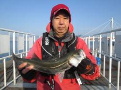 絶好の釣日和の尼崎市立魚つり公園でハネ釣り…