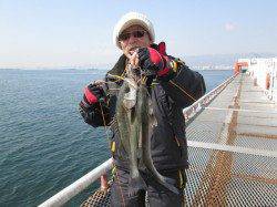 尼崎市立魚つり公園、もう少しで年なしのビッグチヌ