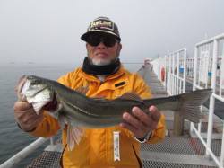 尼崎市立魚つり公園　大物に期待！