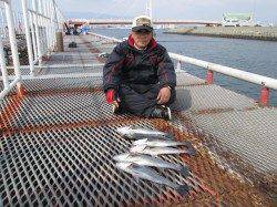 尼崎市立魚つり公園ハネ高活性でアタリが頻発!