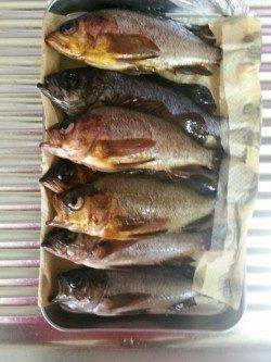 今年初のナイトメバリング、連続で5匹キャッチ！