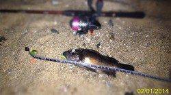 フロートリグでのメバルキャッチで脱ボーズ♪