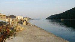 成ｹ島水道からStartFishing！１投目は20cm超えの良型キス