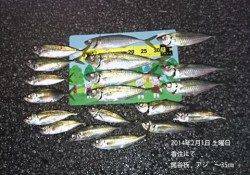 香住でのアジ釣果～35cmの良型釣れてます