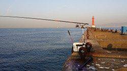 新波止で厳しい感じでしたが良型チヌ♪