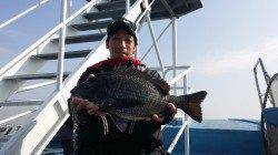 新波止で厳しい感じでしたが良型チヌ♪