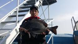 新波止で厳しい感じでしたが良型チヌ♪