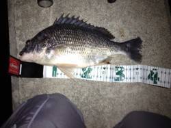 仕事終わりにサクッとチニング！