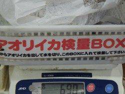 白浜見草にてエギングでアオリの釣果