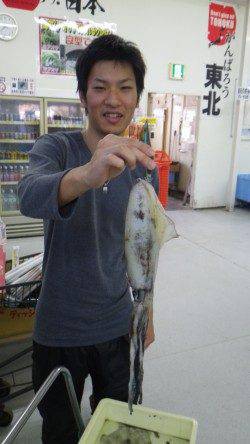 ヤエンでアオリイカ500〜1000g3バイの釣果