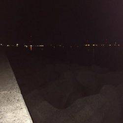 妻鹿灘浜でメバルナイトゲーム