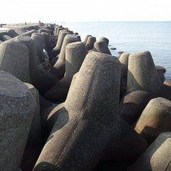 高砂港　穴釣りでメバル狙いもアイナメ22cmの釣果