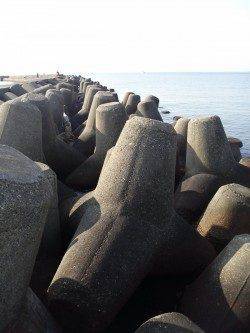 高砂港　穴釣りでメバル狙いもアイナメ22cmの釣果