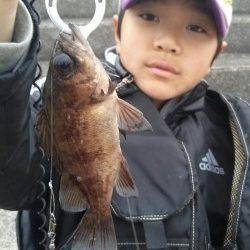 東二見、穴釣での釣果、全てリリースサイズでしたが楽しめました