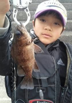 東二見、穴釣での釣果、全てリリースサイズで…