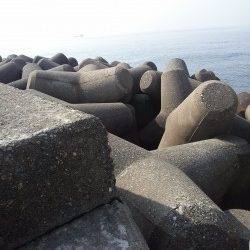 高砂港での穴釣り釣果、〜20cmまでのガシラ